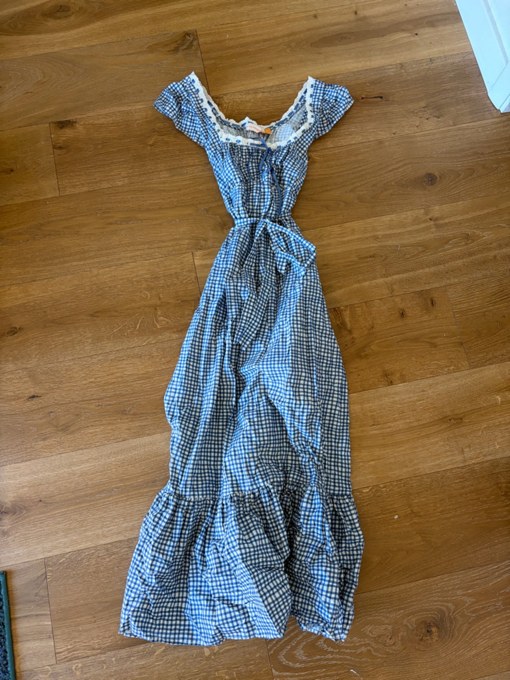 RIXO Blue and White Gingham Maxi Dress